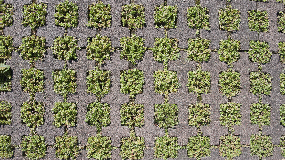 Hydropor Rasenwabe Hydropor Rasenwabe