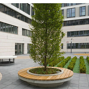 Ein großer Baum in der Mitte eines Hofs ist durch einen Baumschutz mit Holzbänken in Kreisform umringt. Die Pflastersteine am Boden sind in schwarz verlegt und harmonisieren mit dem Gebäudekomplex im Hintergrund.