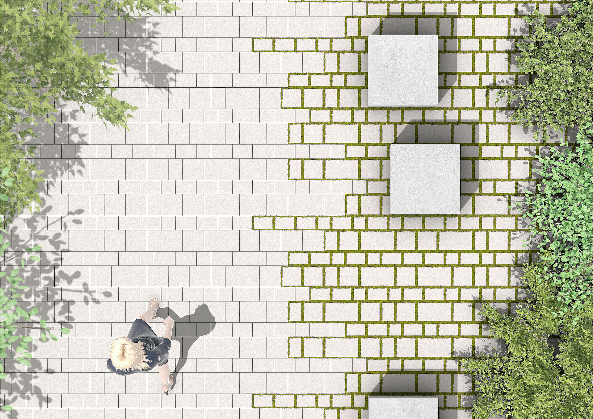 RINN_Schwamm_Visu_Systeme_Übersicht_240820